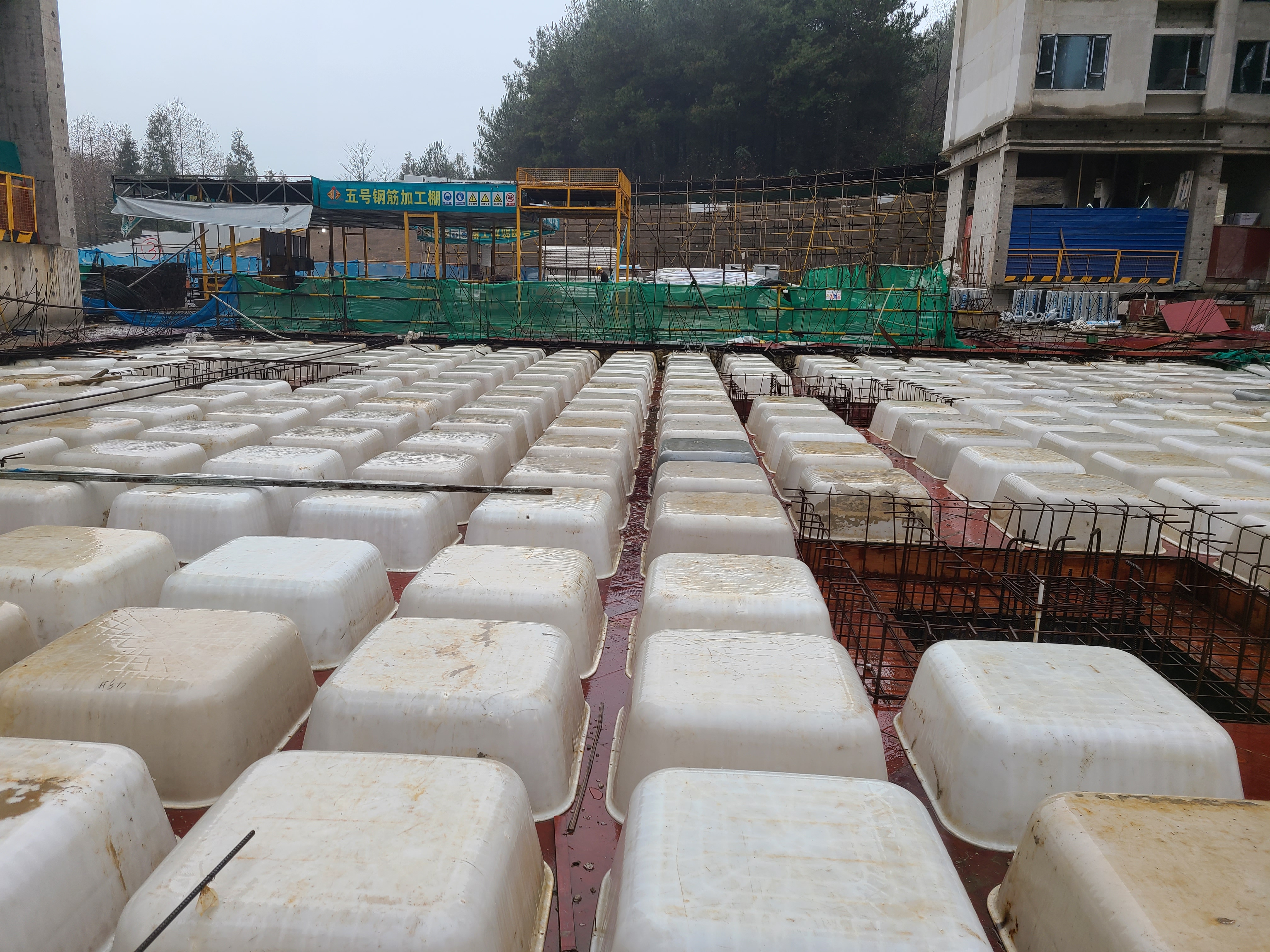 ����¥��